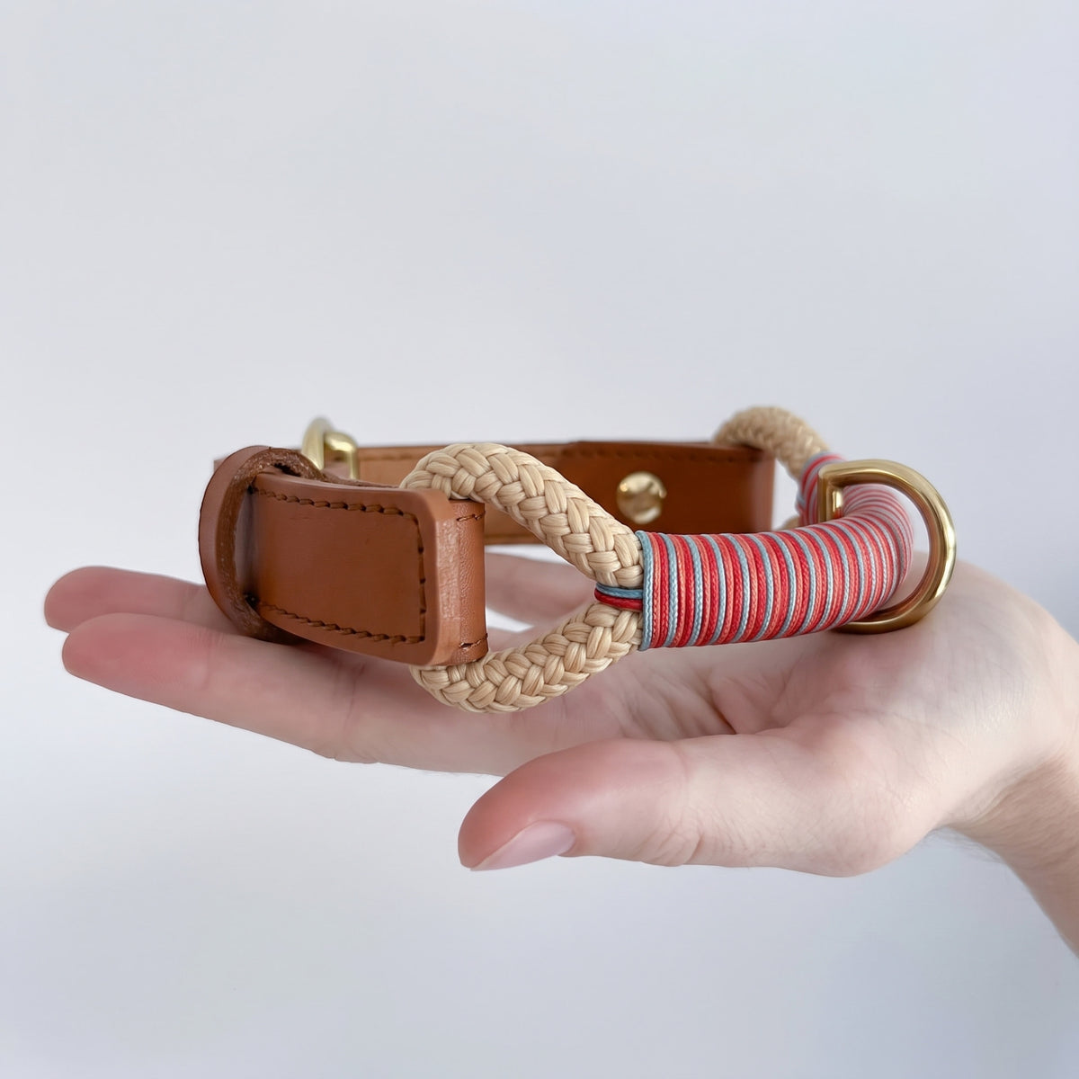 Sundowner Collar Taupe held in hand