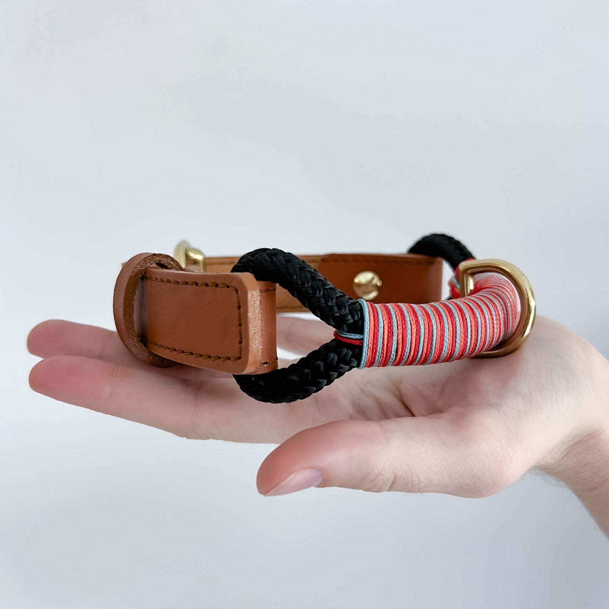 Sundowner Collar Noir held in hand
